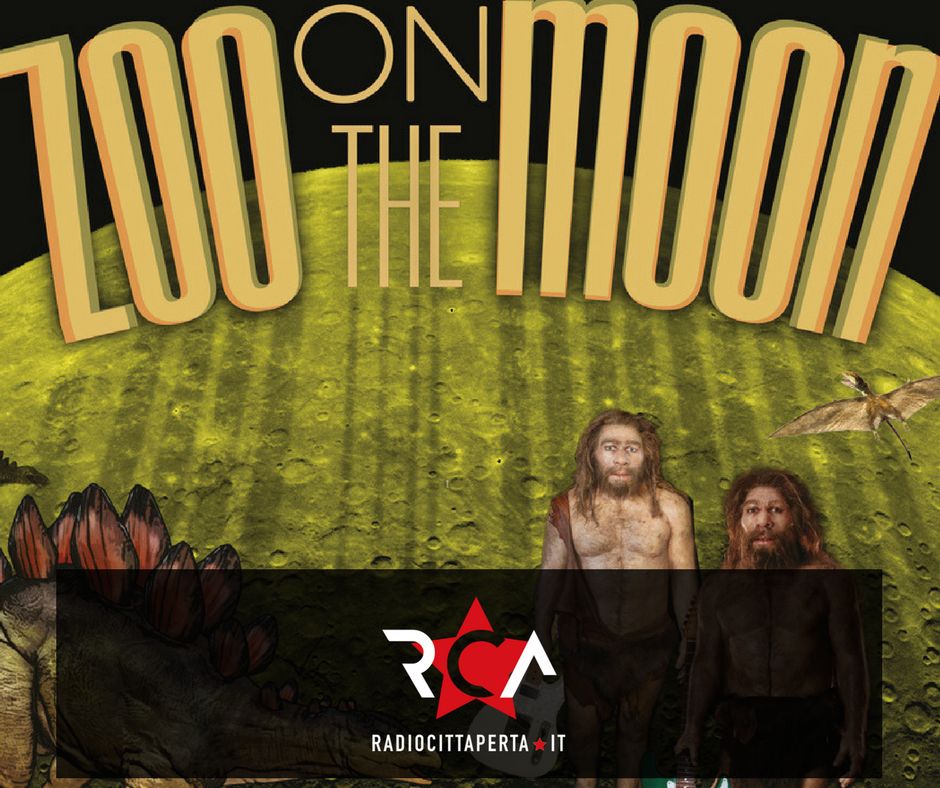 zoo on the moon canva