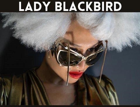 lady-blackbird