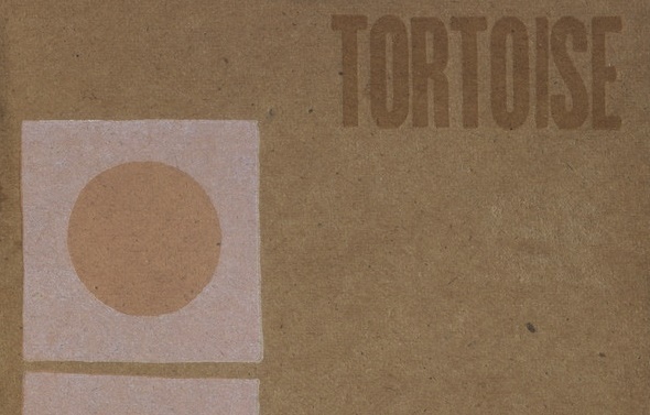 tortoise1