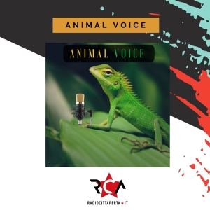 ANIMAL VOICE con MICHELA CHANDRA GIAMBONI