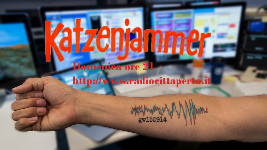 11 12 2016katzenajmmer