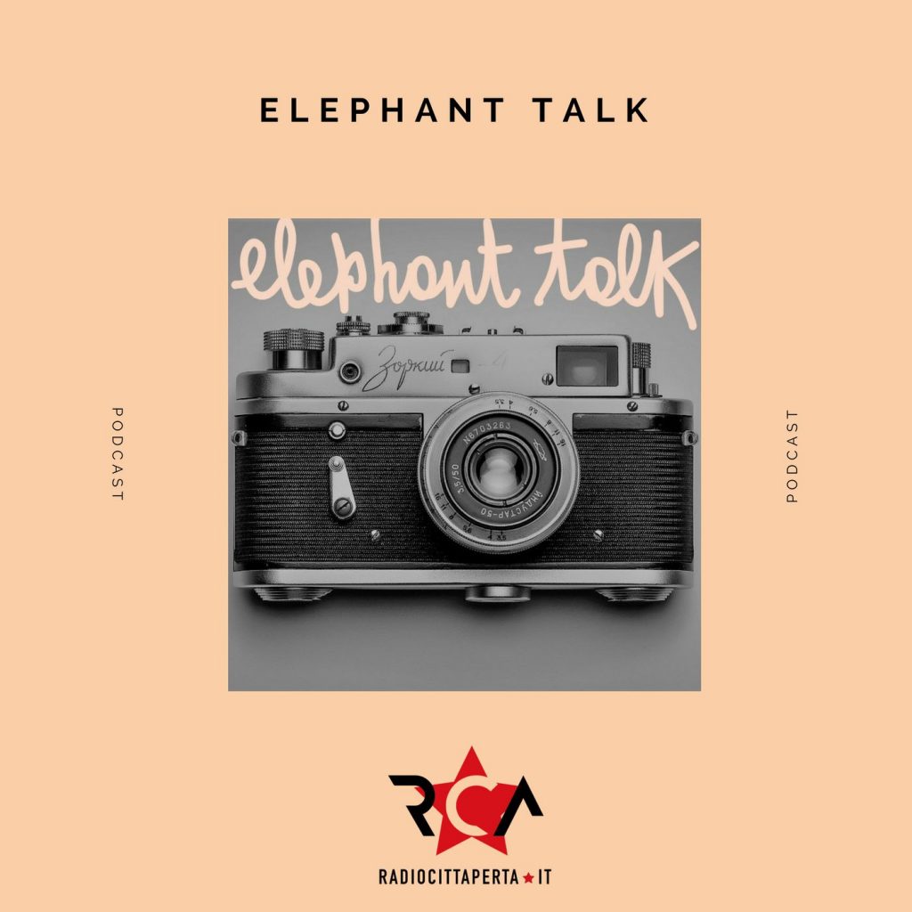 LOGHI elephant talk