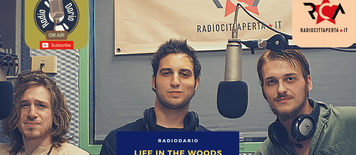 Podcast RadioDario LIFE IN THE WOODS 2