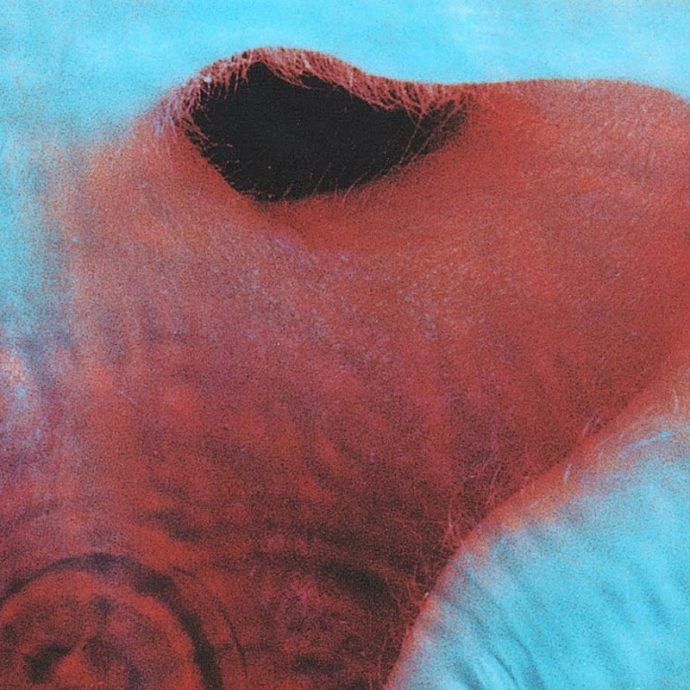 Pink Floyd Meddle Album Photo