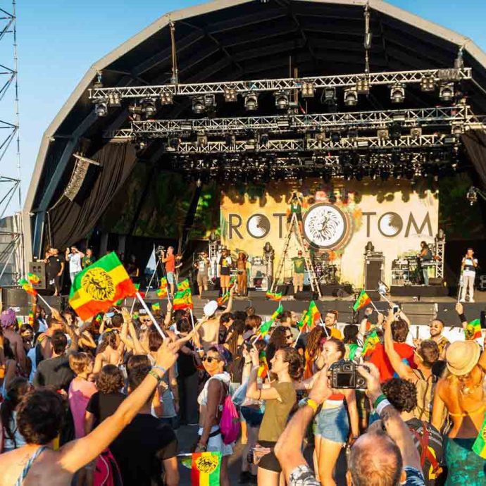 RototomInNumbers_L