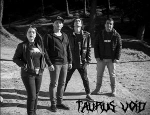 Taurus-Void