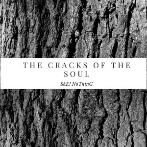 TheCracksOfTheSoulWEB