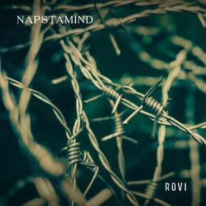 Napstamind_Rovi