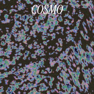 GRAFICA-SINGOLO-_COSMO_