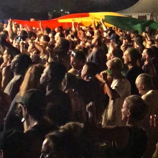 ROTOTOM SUNSPLASH 2024 | DAY SIX | REPORTAGE DI NARRADOR CALLEJERO